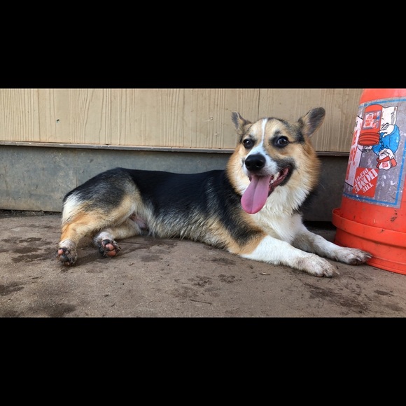 Meet your Posher, Clay - Picture 1 of 1